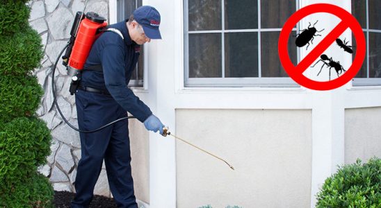 Çukurova Fare İlaçlama böcek ilaçlama ve haşere kontrolü — ilaclama-tr.com